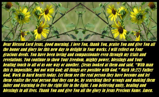 © Photo Artist Susan Ruth Robertson 090025006100 SX540HS 004.JPG