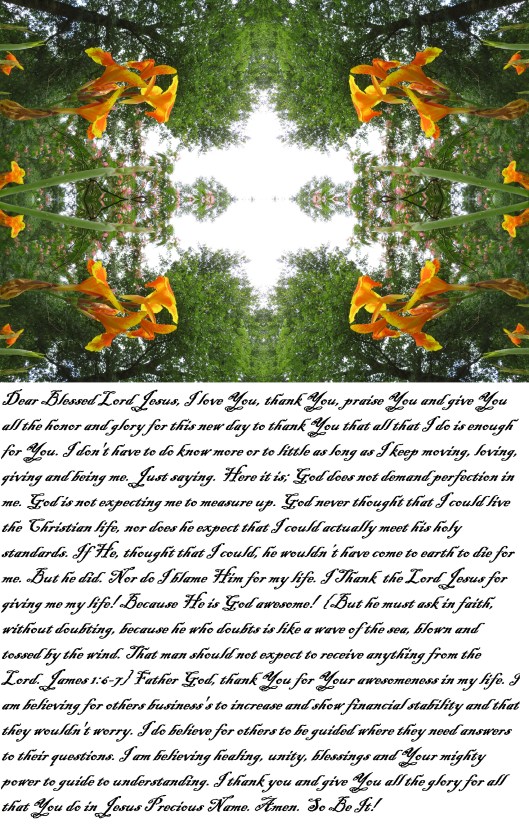 © Photo Artist Susan Ruth Robertson 090025006100 SX540HS 010 - Copy.JPG