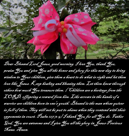 © Photo Artist Susan Ruth Robertson 090025006100 SX540HS 011.JPG