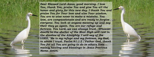 © Photo Artist Susan Ruth Robertson 090025006100 SX540HS 025