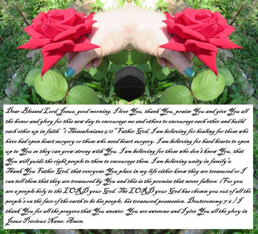 © Photo Artist Susan Ruth Robertson 090025006100 SX540HS 047 - Copy - Copy.JPG