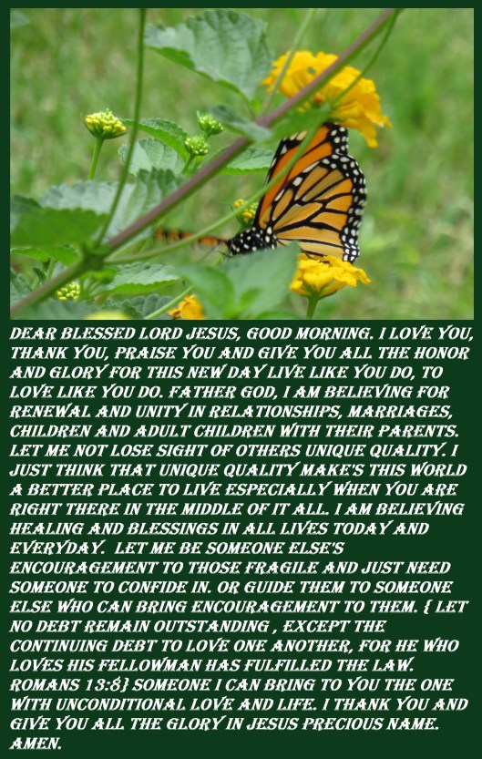 © Photo Artist Susan Ruth Robertson 090025006100 SX540HS 048 - Copy.JPG