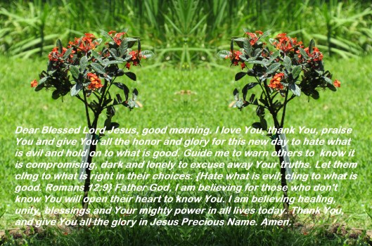 © Photo Artist Susan Ruth Robertson 090025006100 SX540HS 051 - Copy (2) - Copy.JPG