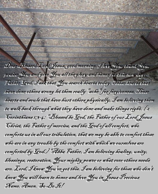 © Photo Artist Susan Ruth Robertson 090025006100 SX540HS 152 - Copy.JPG