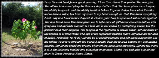 © Photo Artist Susan Ruth Robertson 090025006100 005 - Copy (2).JPG