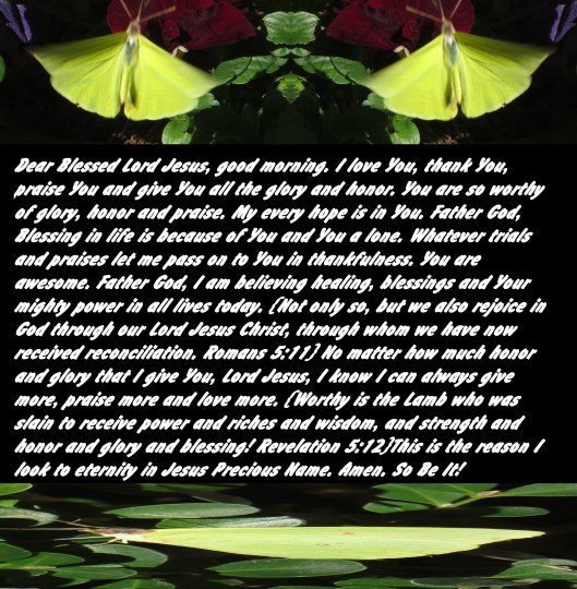 © Photo Artist Susan Ruth Robertson 090025006100 021 - Copy.JPG