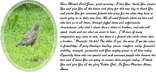 © Photo Artist Susan Ruth Robertson 090025006100 SX 400 IS 055 - Copy.JPG