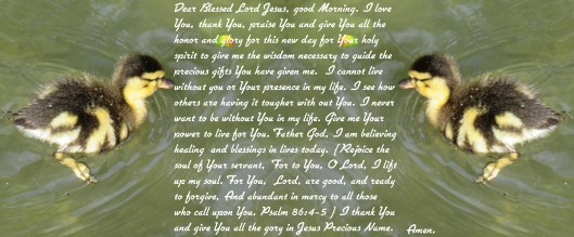 © Photo Artist Susan Ruth Robertson 090025006100 SX 400 IS (160) - Copy - Copy.JPG