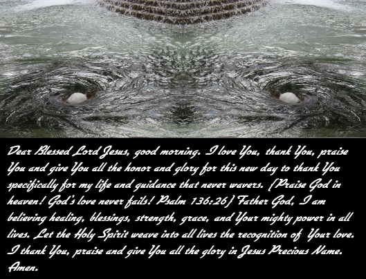 © Photo Artist Susan Ruth Robertson 090025006100 SX 400 IS (21) - Copy.JPG