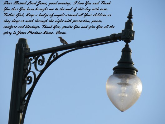 © Photo Artist Susan Ruth Robertson 090025006100 SX 400 IS (6) - Copy.JPG