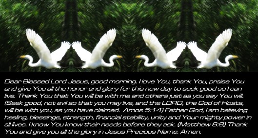 © Photo Artist Susan Ruth Robertson 090025006100 SX 400 IS (97).JPG