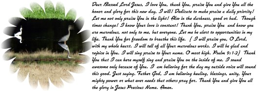 © Photo Artist Susan Ruth Robertson 090025006100 SX 540 HS 016 - Copy.JPG