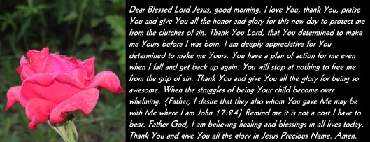 © Photo Artist Susan Ruth Robertson 090025006100 SX 540 HS (21) - Copy.JPG