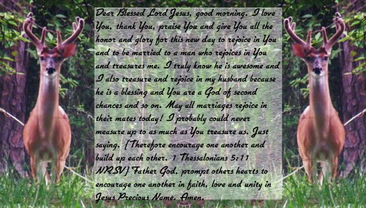 © Photo Artist Susan Ruth Robertson 090025006100 SX 540 HS (58) - Copy.JPG