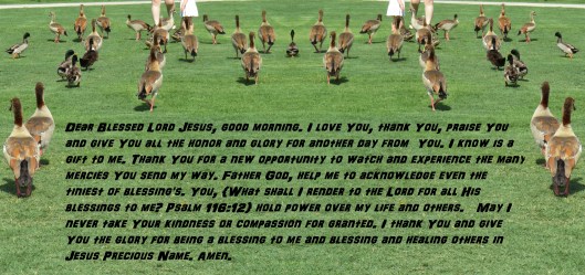 © Photo Artist Susan Ruth Robertson 090025006100 SX 540 HS (66) - Copy.JPG