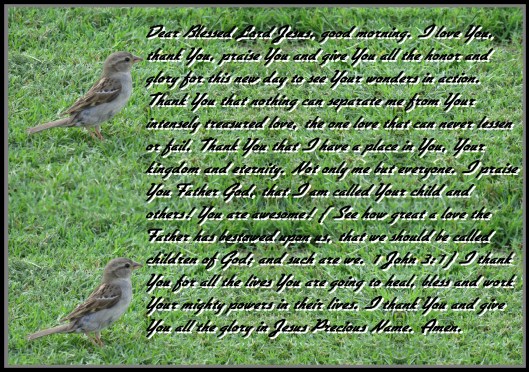 © Photo Artist Susan Ruth Robertson 090025006100 SX 540 HS (94) - Copy.JPG