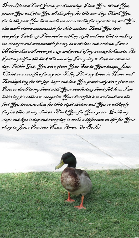 © Photo Artist Susan Ruth Robertson 090025006100 SX540HS 008 - Copy.JPG