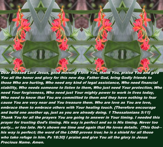 © Photo Artist Susan Ruth Robertson 090025006100 SX540HS 095 - Copy.JPG