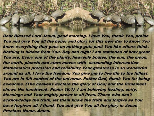 © Photo Artist Susan Ruth Robertson 090025006100 017 - Copy.JPG