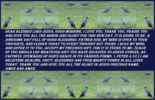 © Photo Artist Susan Ruth Robertson 090025006100 025 - Copy.JPG