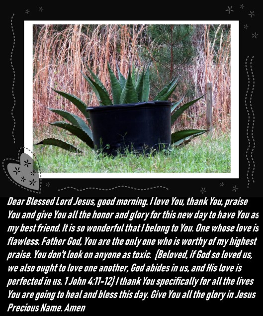 © Photo Artist Susan Ruth Robertson 090025006100 SX 540 HS 068.JPG