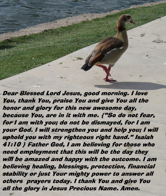 © Photo Artist Susan Ruth Robertson 090025006100 SX 540 HS (12) - Copy.JPG