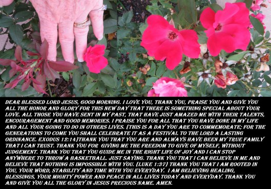 © Photo Artist Susan Ruth Robertson 090025006100 SX540HS 0 010 - Copy.JPG