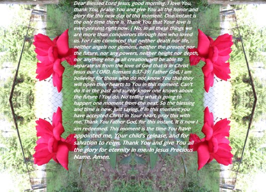© Photo Artist Susan Ruth Robertson 090025006100 SX540HS 039 - Copy.JPG