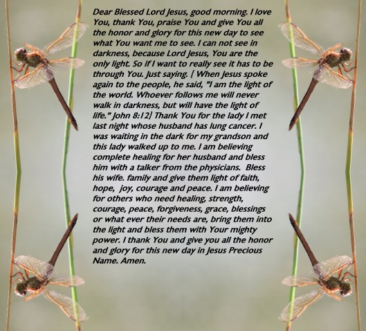 © Photo Artist Susan Ruth Robertson 090025006100 SX540HS 061 - Copy.JPG
