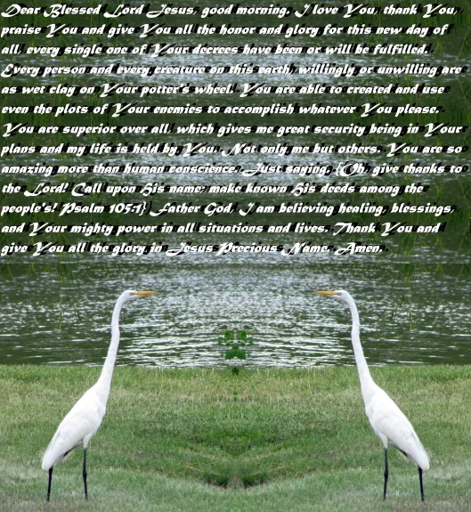 SX400 IS © Photo Artist Susan Ruth Robertson 090025006100 013 - Copy.JPG