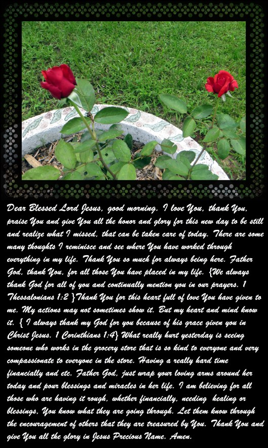 © Photo Artist Susan Ruth Robertson 090025006100 008 - Copy - Copy.JPG