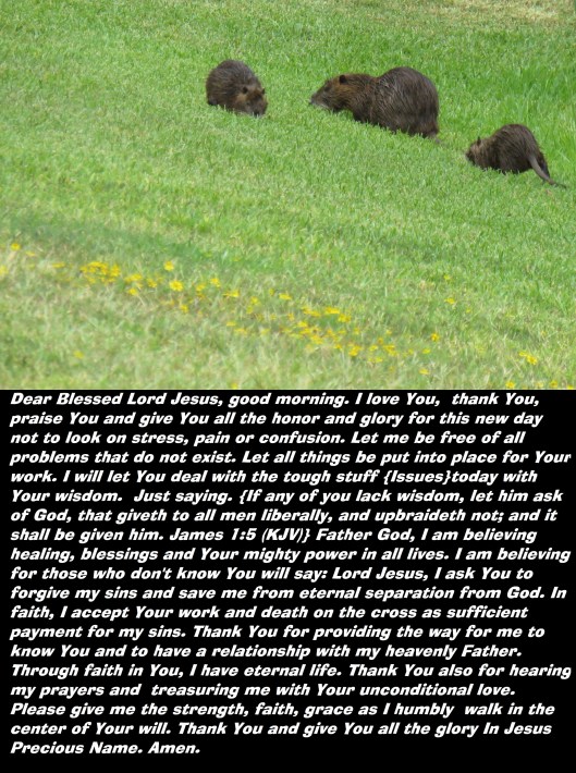 © Photo Artist Susan Ruth Robertson 090025006100 SX 400 IS (100).JPG
