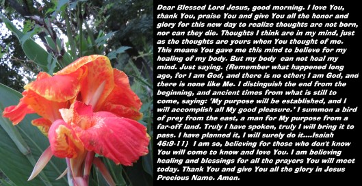 © Photo Artist Susan Ruth Robertson 090025006100 SX 400 IS (19).JPG