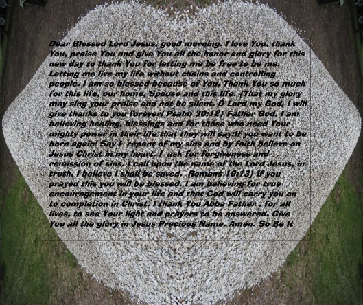 © Photo Artist Susan Ruth Robertson 090025006100 SX 400 IS (2).JPG