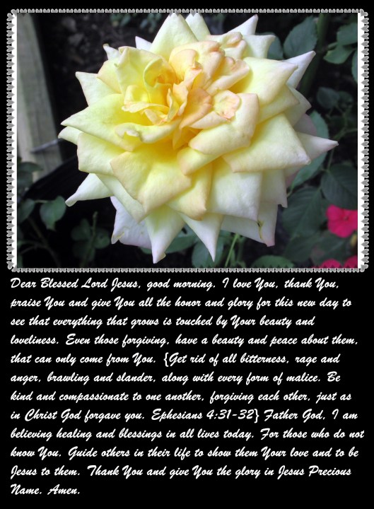 © Photo Artist Susan Ruth Robertson 090025006100 sx400 004 - Copy.JPG