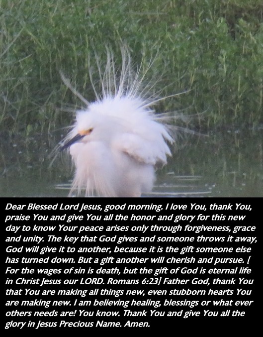 © Photo Artist Susan Ruth Robertson 090025006100 SX540HS 018 - Copy - Copy.JPG