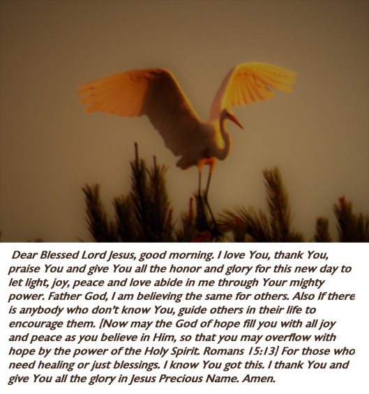 © Photo Artist Susan Ruth Robertson 090025006100 SX540HS 065.JPG