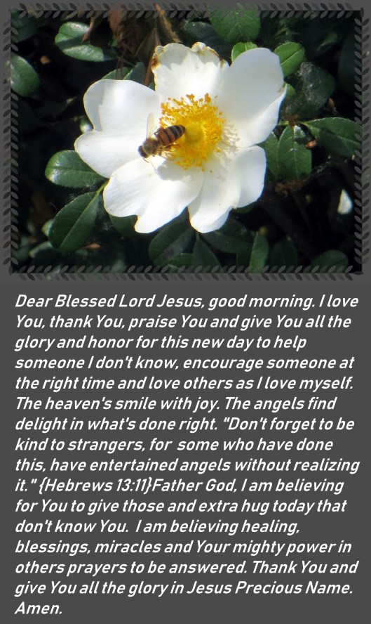 © Photo Artist Susan Ruth Robertson 090025006100 062 - Copy.JPG