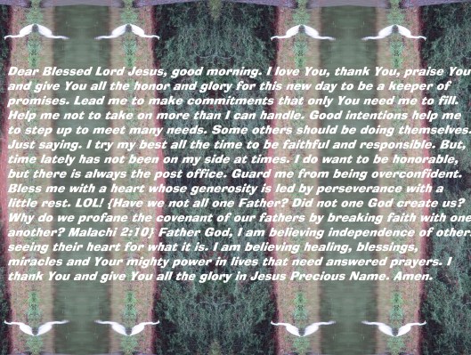 © Photo Artist Susan Ruth Robertson 090025006100 SX 400 IS (59).JPG