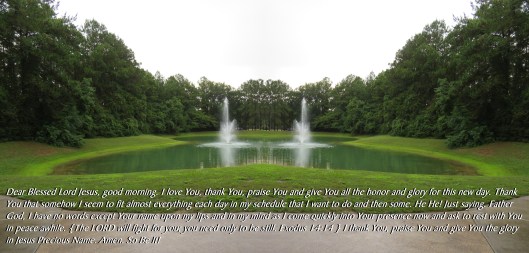 © Photo Artist Susan Ruth Robertson 090025006100 SX 400 IS (6).JPG