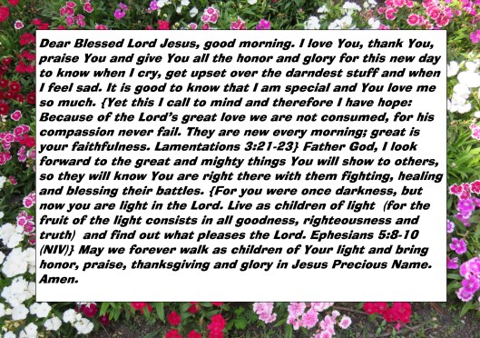 © Photo Artist Susan Ruth Robertson 090025006100 SX 400 IS (70) - Copy.JPG