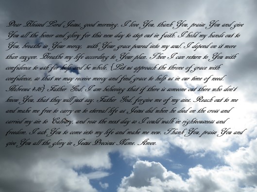 © Photo Artist Susan Ruth Robertson 090025006100 SX 540 HS (11).JPG