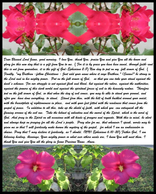 © Photo Artist Susan Ruth Robertson 090025006100 SX540HS 033 - Copy - Copy.JPG