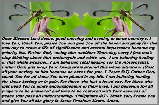 .© Photo Artist Susan Ruth RobertsonIMG_0077 (13).JPG