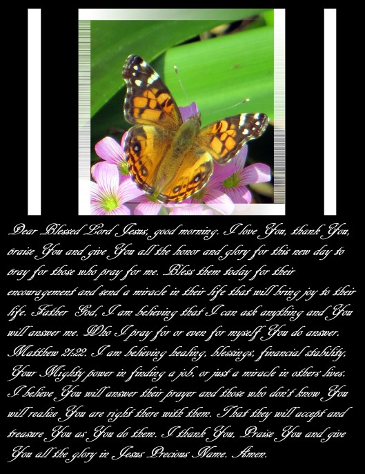 Photo Artist Susan Robertson (11) - Copy - Copy.JPG