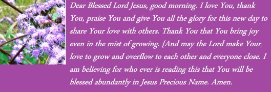 © Photo Artist Susan Ruth Robertson 090025006100 SX 400 IS  (210).JPG