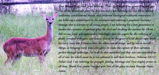 © Photo Artist Susan Ruth Robertson 090025006100 SX 400 IS (36) - Copy - Copy.JPG