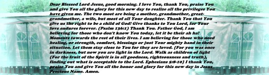 © Photo Artist Susan Ruth Robertson 090025006100 SX 400 IS (367) - Copy.JPG