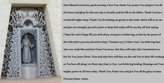 © Photo Artist Susan Ruth Robertson 090025006100 SX 400 IS (44) - Copy.JPG