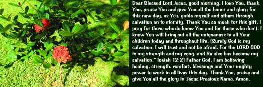 © Photo Artist Susan Ruth Robertson 090025006100 SX 400 IS (48).JPG